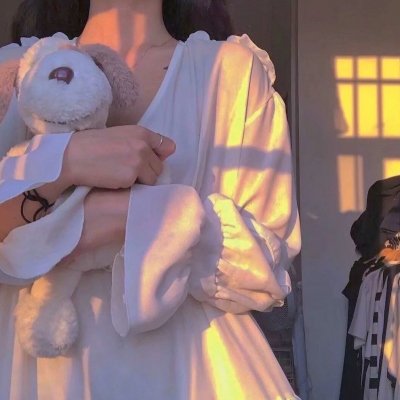 警察女士